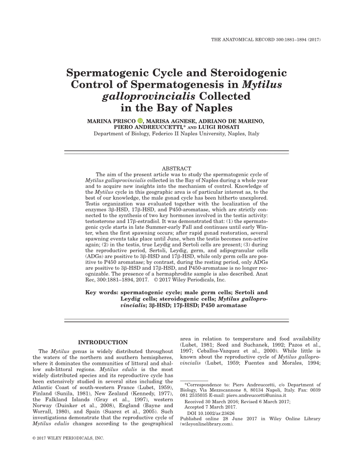 Spermatogenic Cycle and Steroidogenic Control of Spermatogenesis in Mytilus galloprovincialis Collected in the Bay of Naples