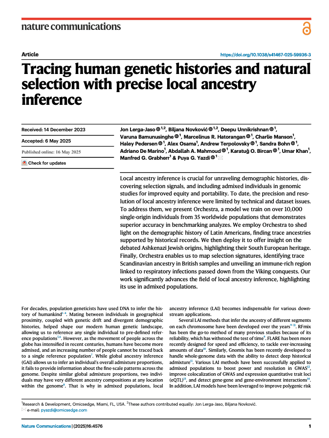 Tracing human genetic histories and natural selection with precise local ancestry inference
