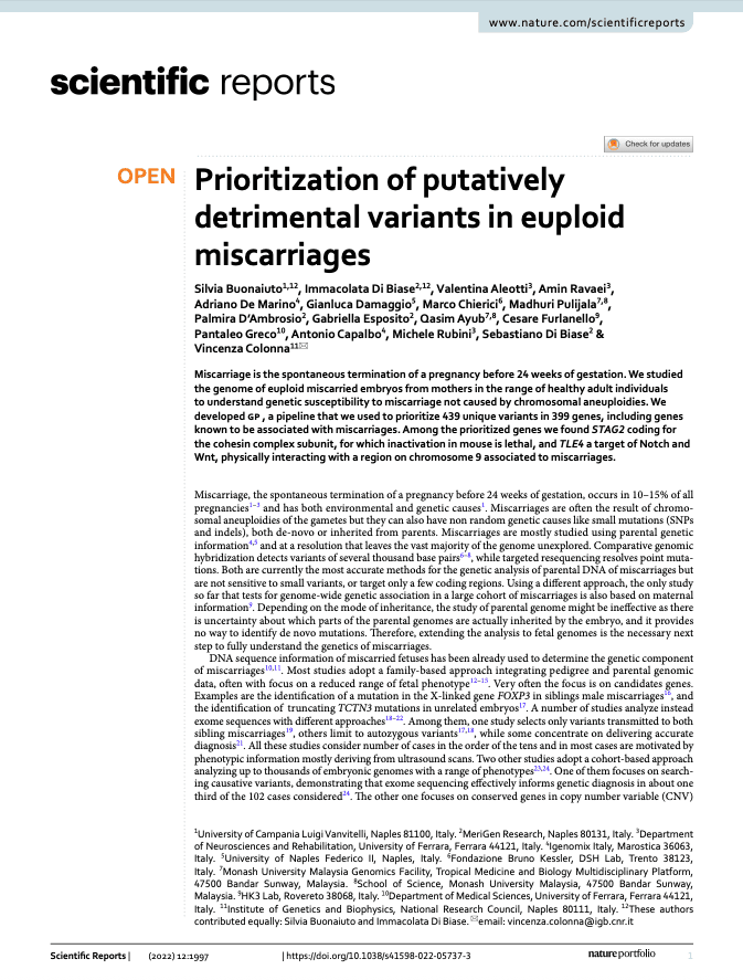Prioritization of putatively detrimental variants in euploid miscarriages